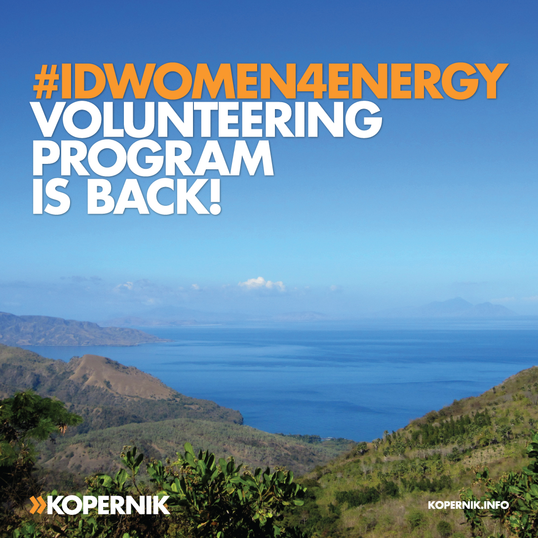 #IDWOMEN4ENERGY Volunteering Program