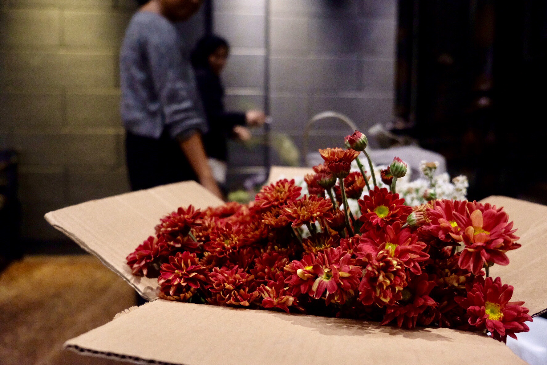 [Hari Sumpah Pemuda] Daur Bunga Petik - 22