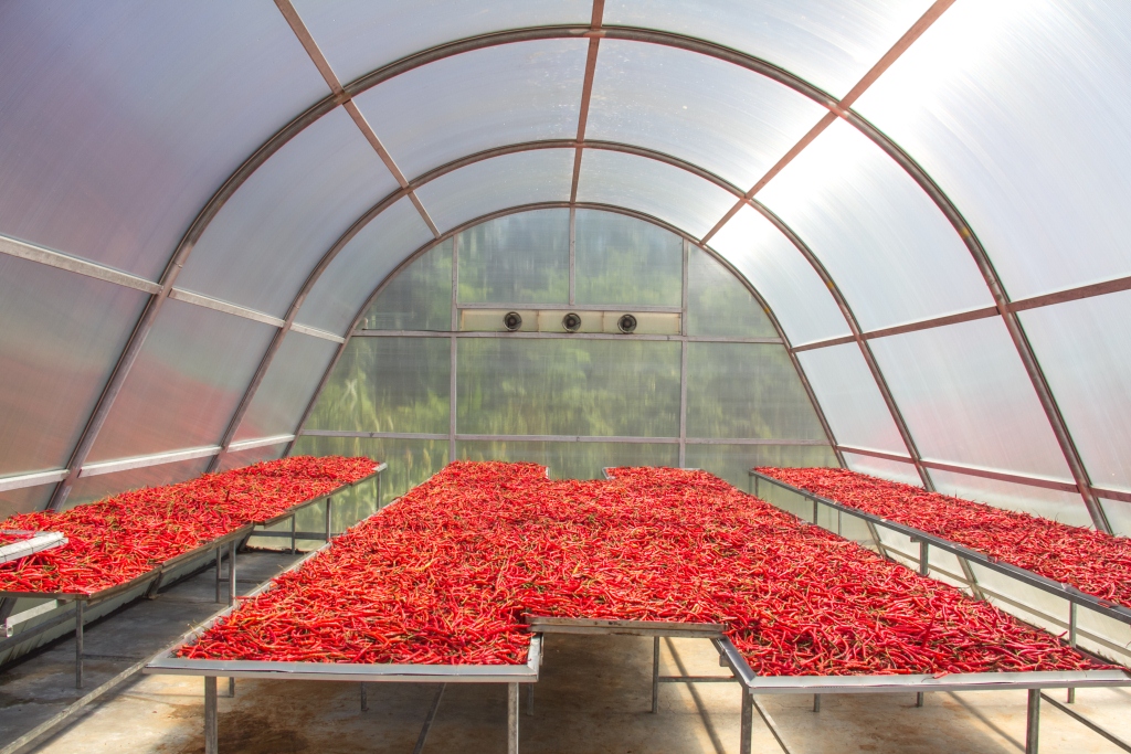 Galeri aktivitas Coffee Forest Garden Project di Vida Bekasi ke-2