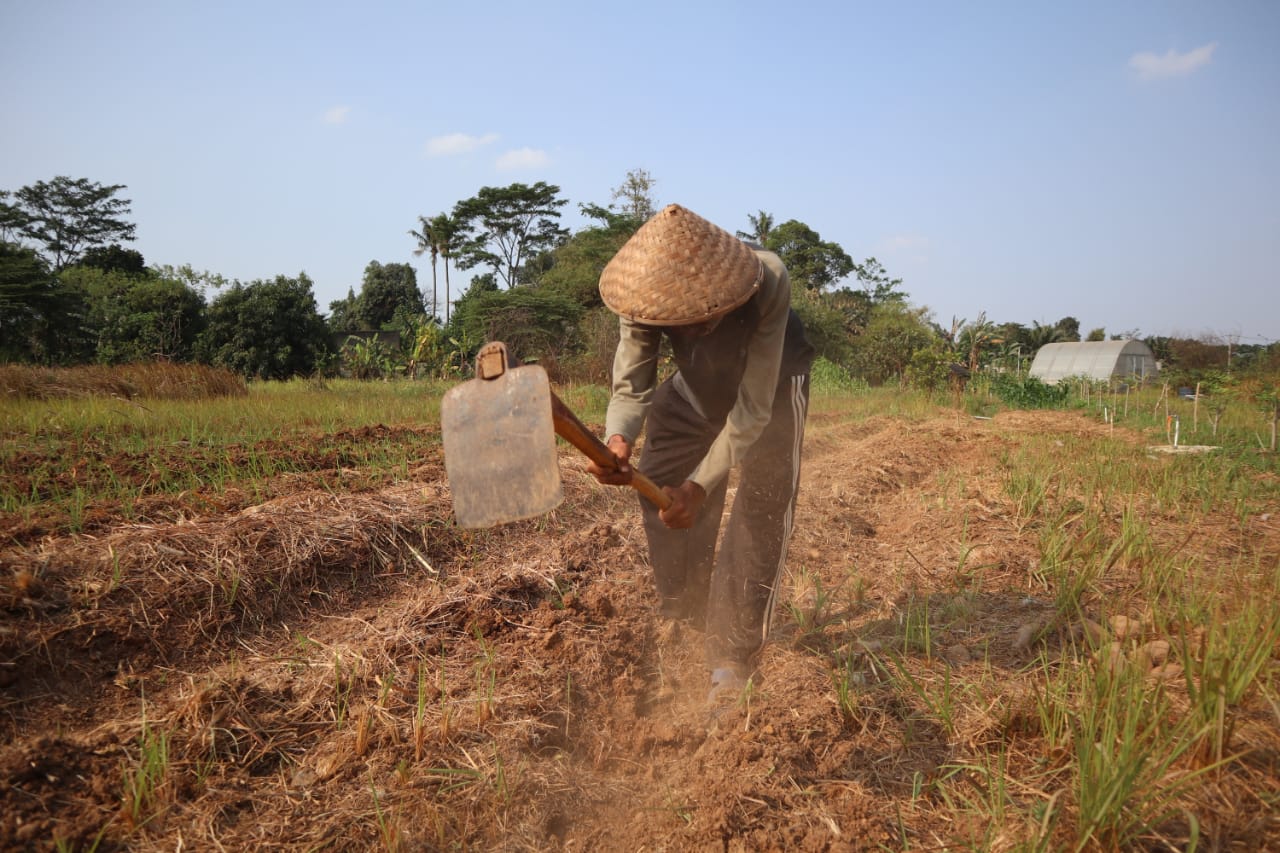 Galeri aktivitas Coffee Forest Garden Project di Vida Bekasi ke-4