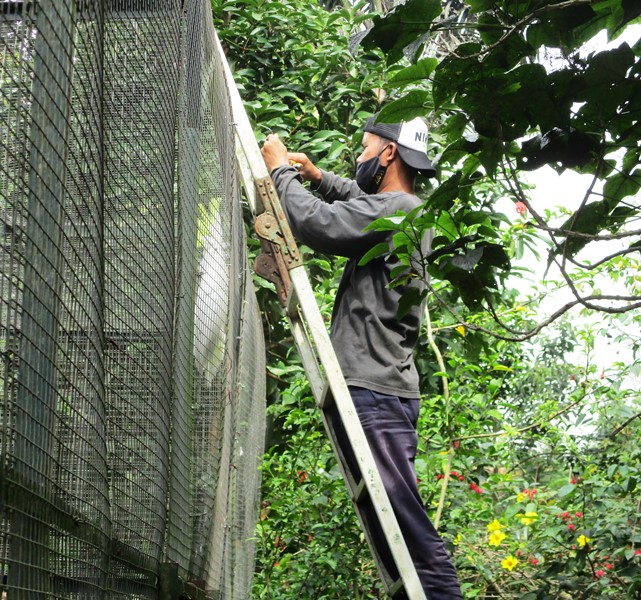 Galeri aktivitas Kreasi Konten Digital Conservationist ke-2