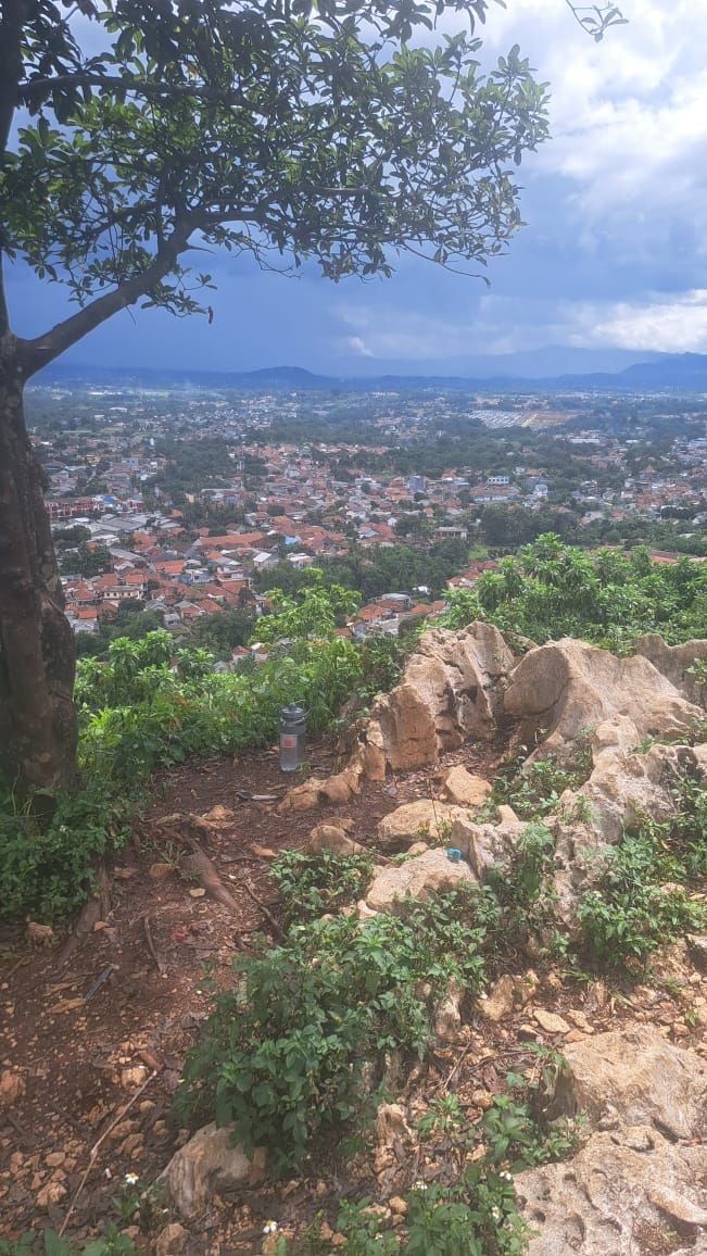 Galeri aktivitas Clean up Dan Penanaman bibit  di kawasan bogor  ke-3