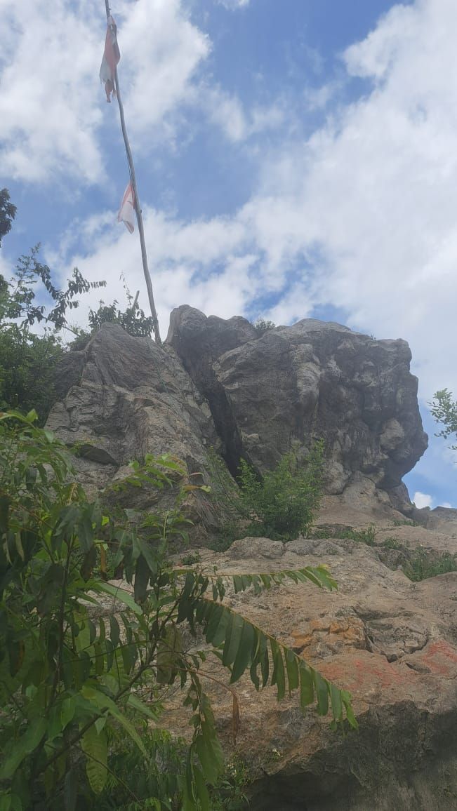 Galeri aktivitas Clean up Dan Penanaman bibit  di kawasan bogor  ke-4