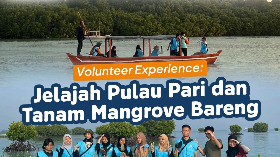 1.500 Mangrove untuk Pulau Pari 