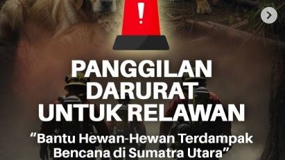 Relawan Bantu Hewan Terdampak Sumatera Utara