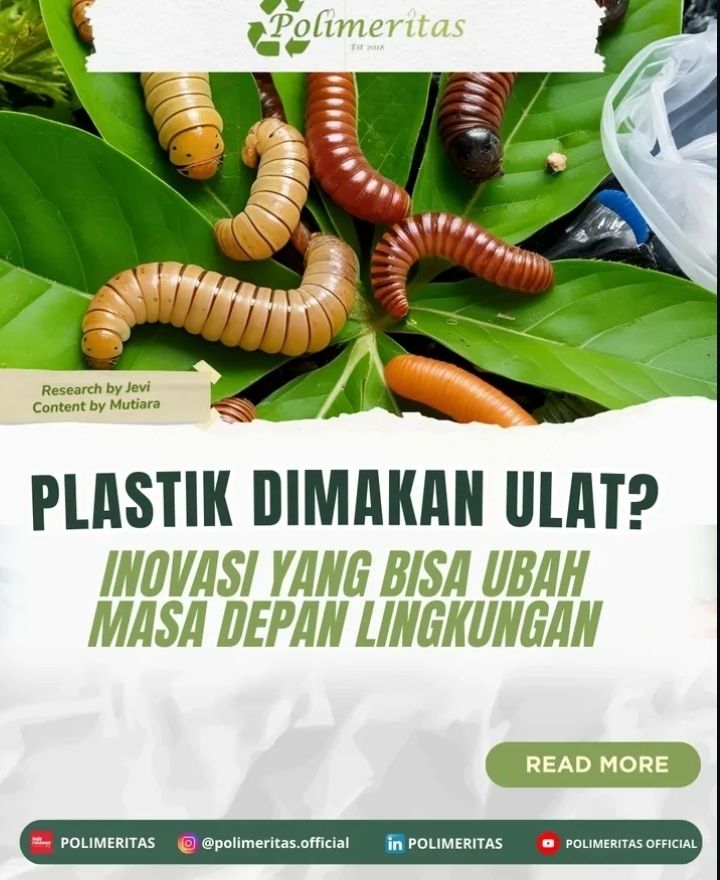 Galeri aktivitas AHLINYA BUAT KONTEN SOSIAL MEDIA 2026 ke-3