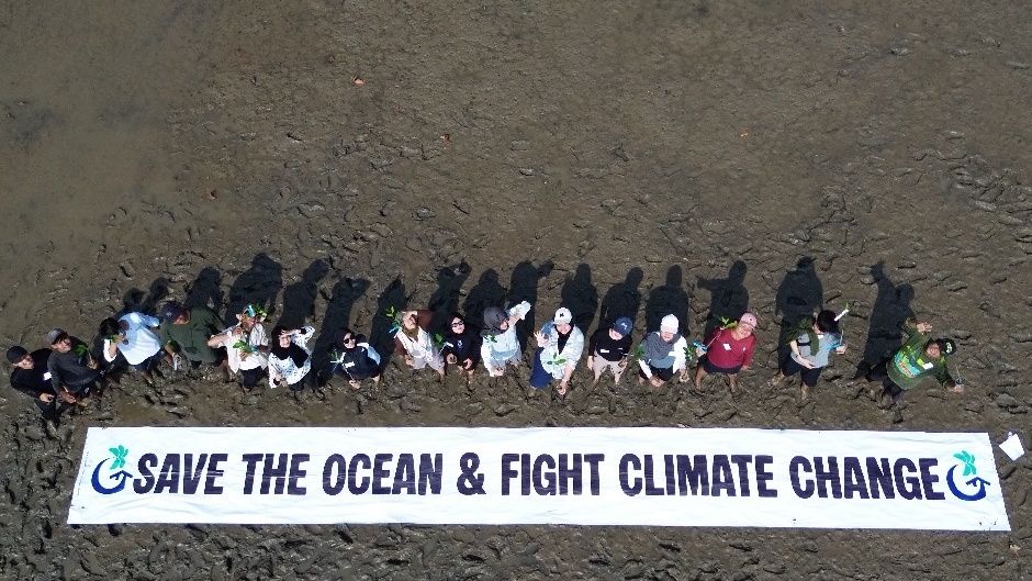 Volunteer Restorasi Mangrove & Clean-Up Pesisir