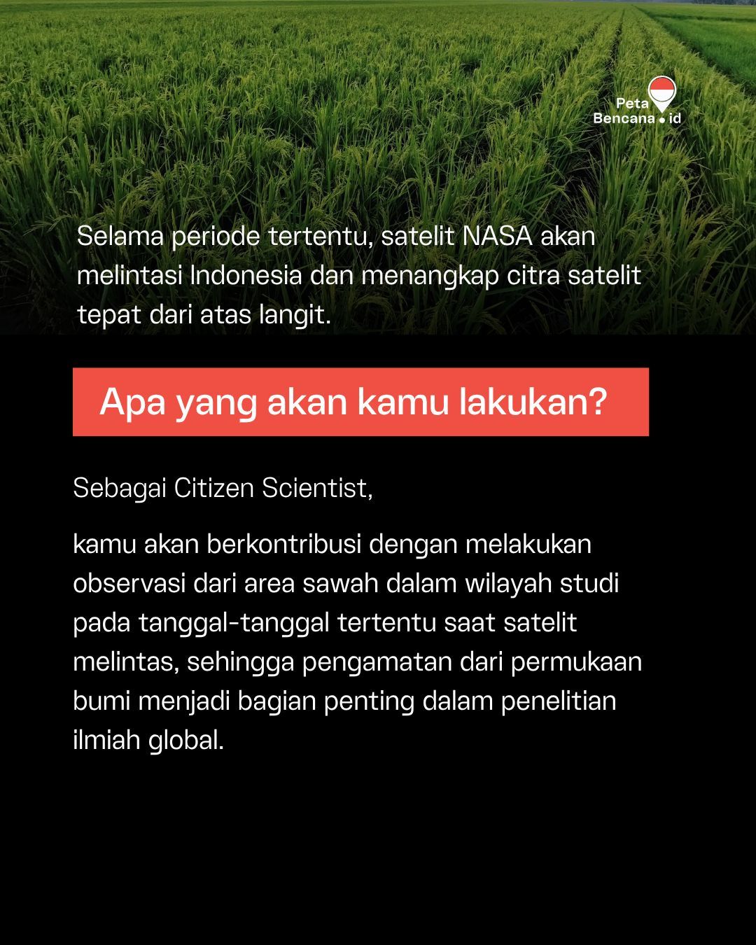 Galeri aktivitas OPEN CALL: CITIZEN SCIENTIST 🌾🌍 ke-5